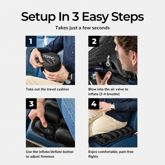 Zeppo travel carry case